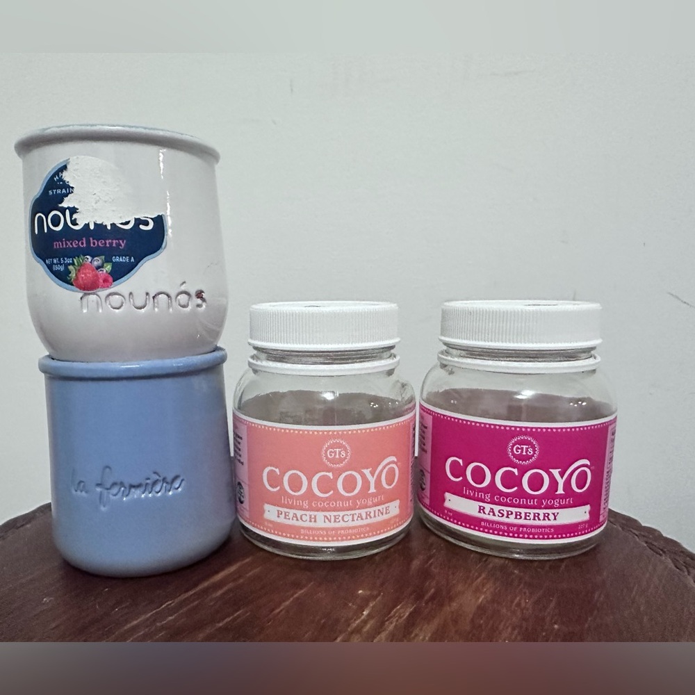 La Fermiere French Glazed Terracotta Cocoyo Nounos Yogurt Pots Set of 4